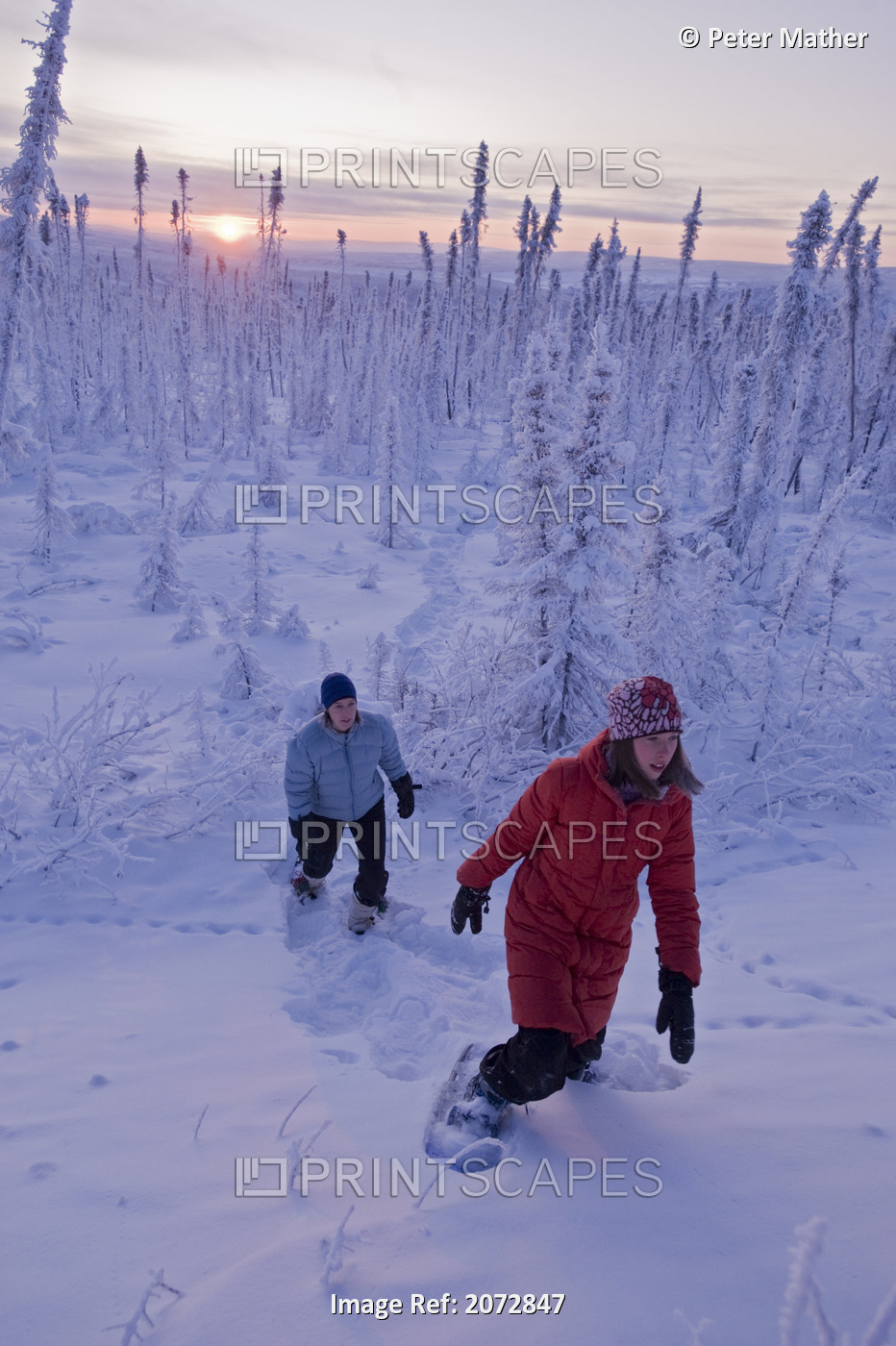 Mother And Daughter Hiking In Snowshoes Through Snow-Covered Forest, Dempster ...
