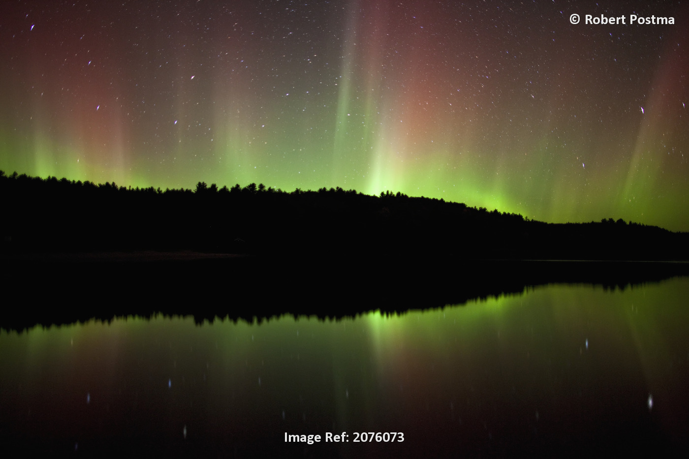 Aurora Borealis Or Northern Lights In Algonquin Park; Ontario Canada