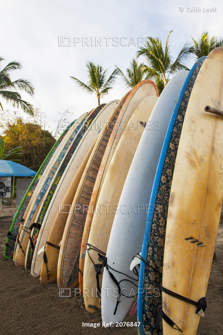 Surfboards Standing Up Against A Rack On The Beach; Sayulita, Mexico