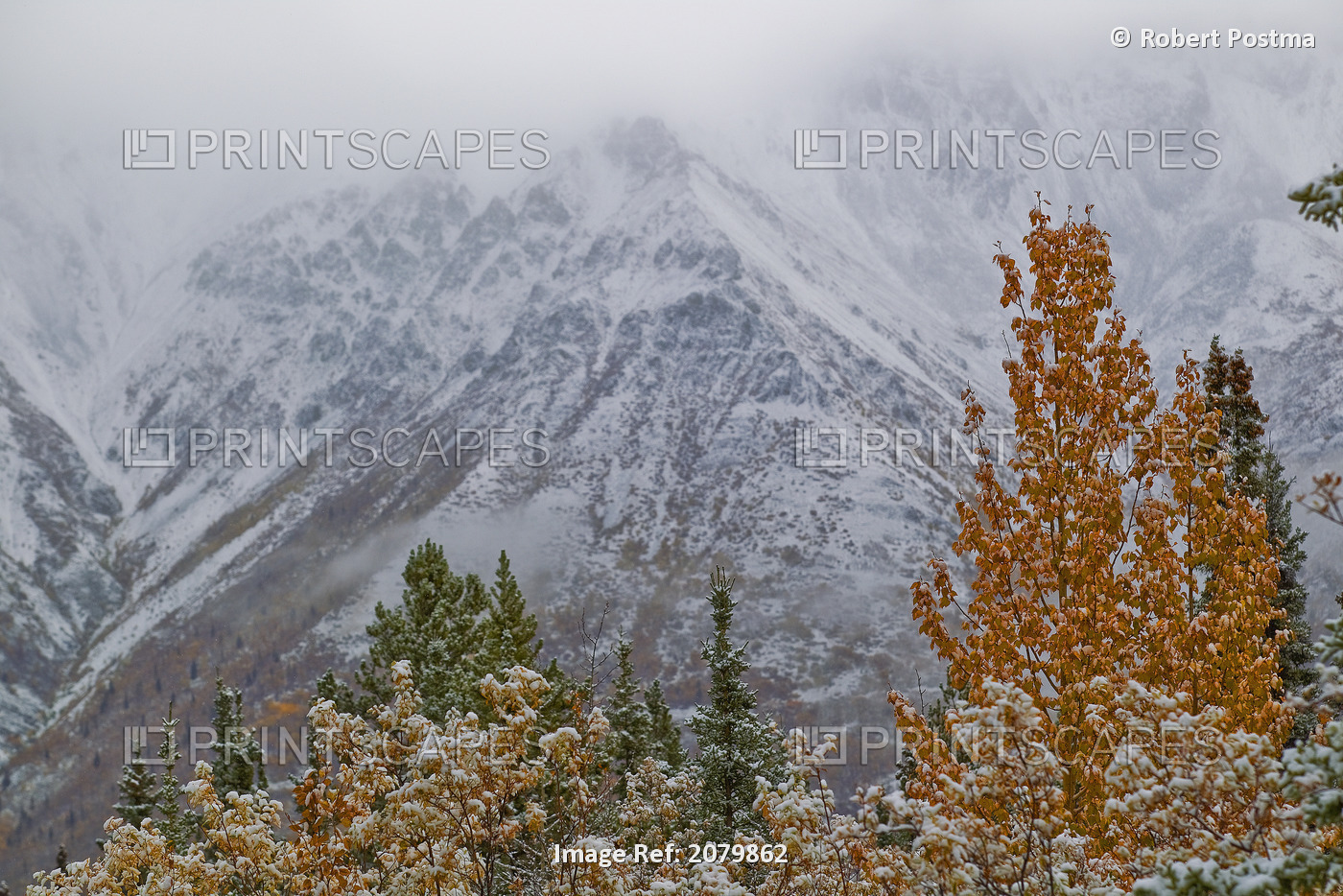 The First Snow Of The Year Blankets The Mountains And Willows Outside Of ...