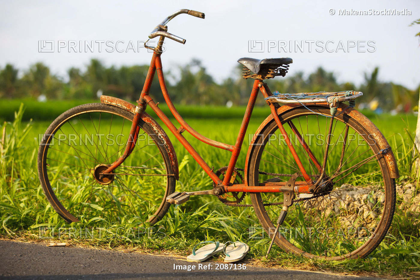 Indonesia, Bali, Ubud, Vintage bike in front of rice fields