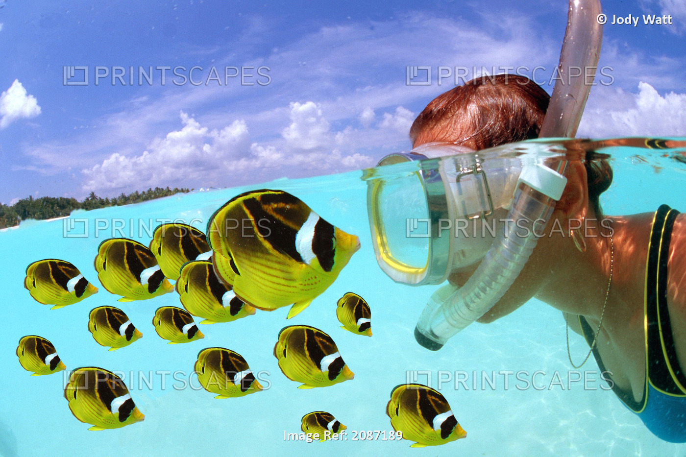 Over/under woman snorkeler face to face with Butterflyfish school