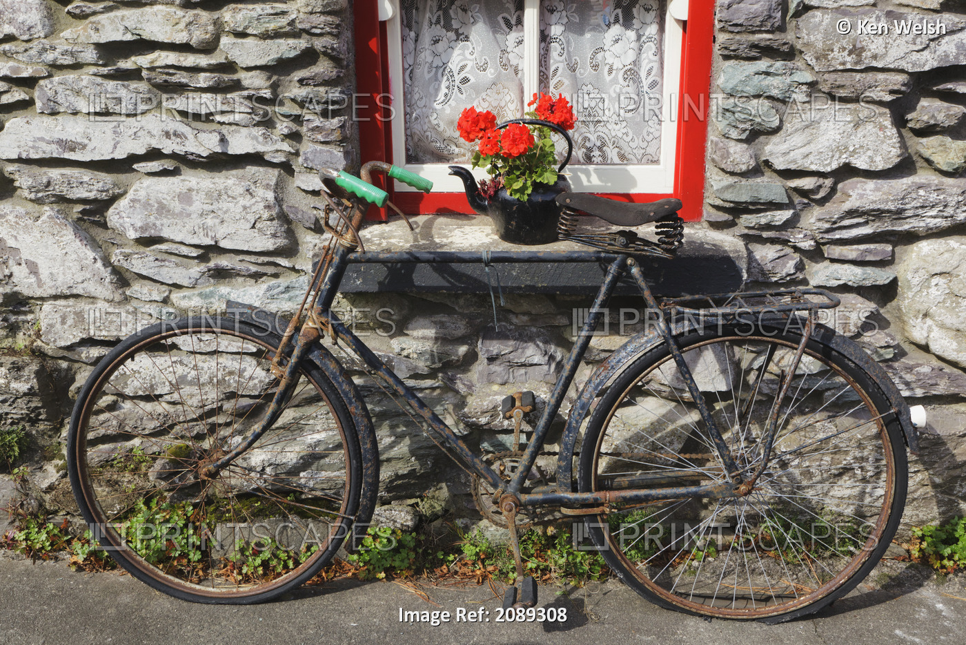 Rusty old bicycle and flowers in kettle outside molly gallivan's cottage and ...