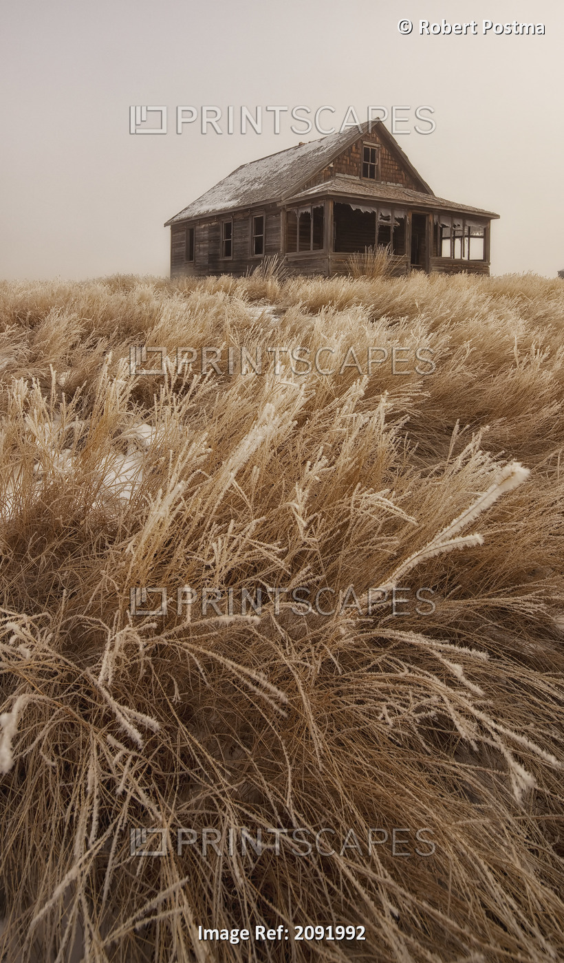 Old Abandoned Homestead In The Prairies; Saskatchewan Canada