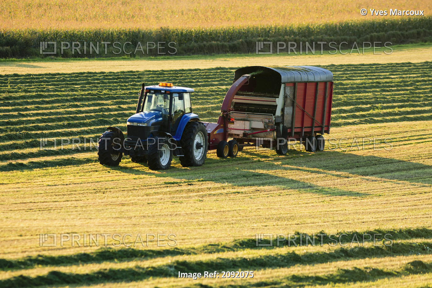 Farmer Cutting Hay In Field At Sunset; Warwick Quebec Canada