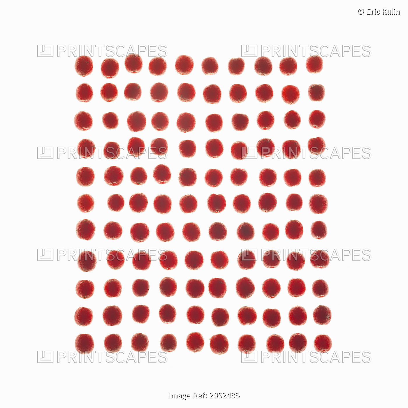 Red Berries In A Grid