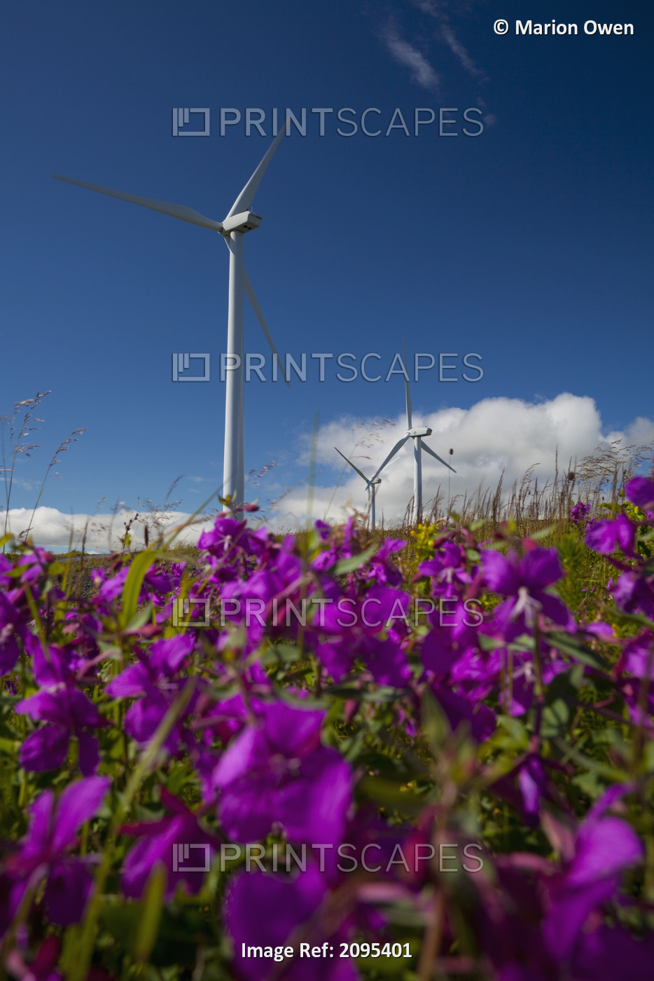 Pillar Mountain Wind Project Wind Turbines Stand On Pillar Mountain On Kodiak ...