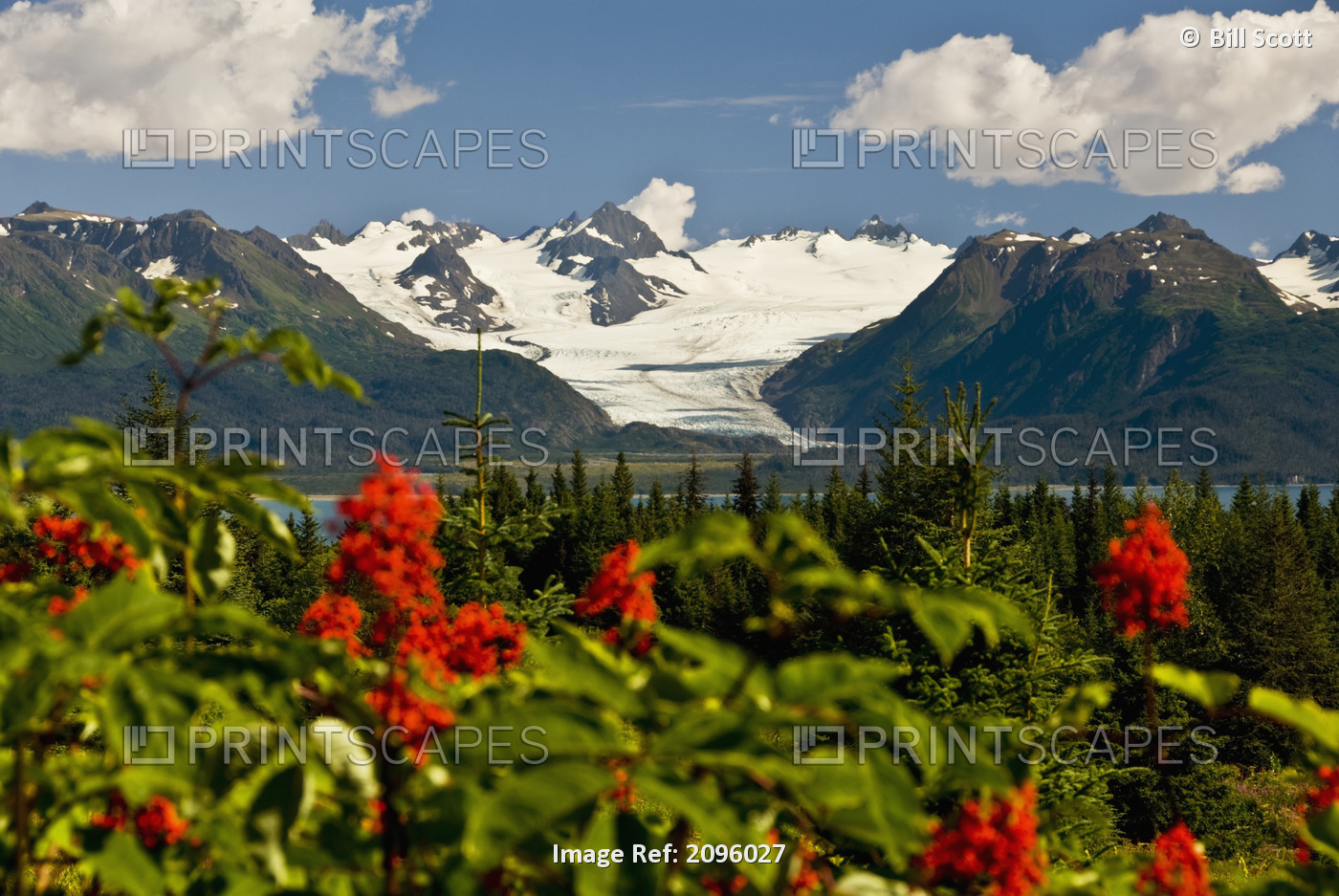 Summer Scenic Of Grewingk Glacier And The Kenai Mountains Of Kachemak Bay State ...