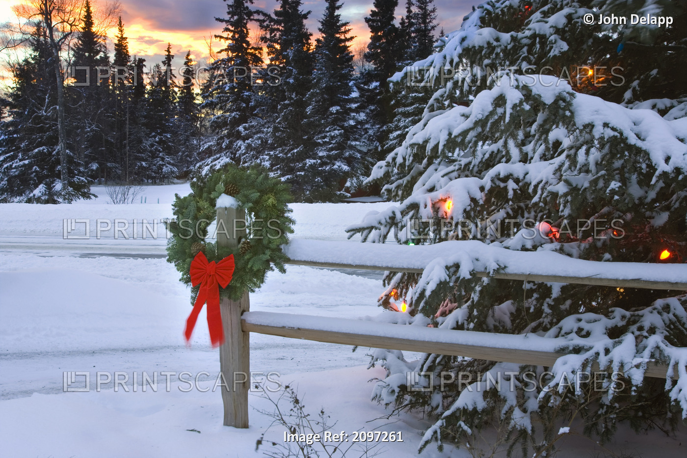 Holiday Wreath Hanging On Split-Rail Fence Next To Decorated Tree W/Sunset ...