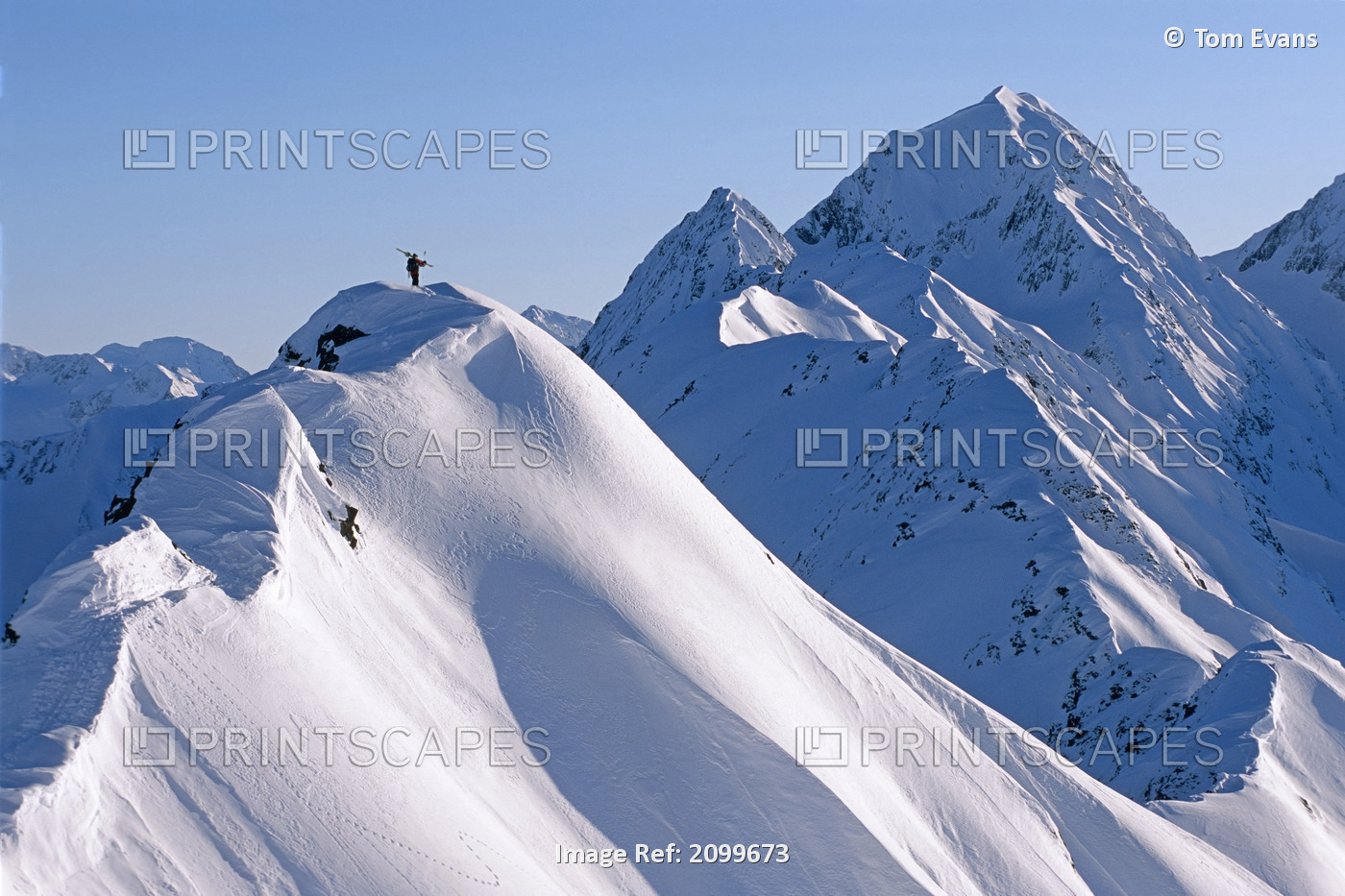 Backcountry Extreme Skier Hikes Ridgeline Carrying Skis High In Chugach Mtns ...