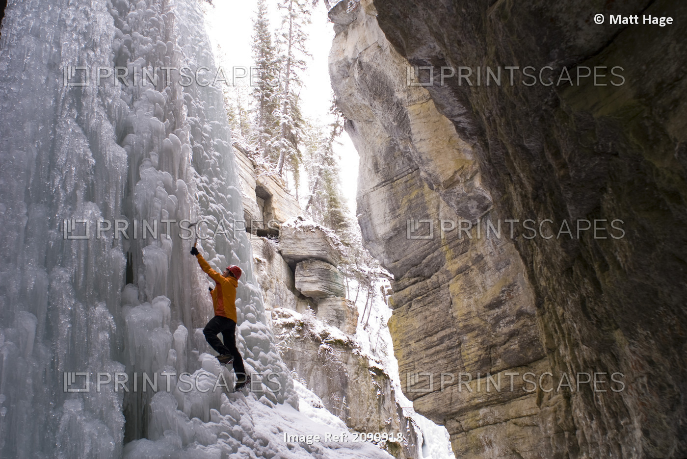 Female Climber Explores Ice Climbing In The Narrows Of Maligne Canyon In Jasper ...