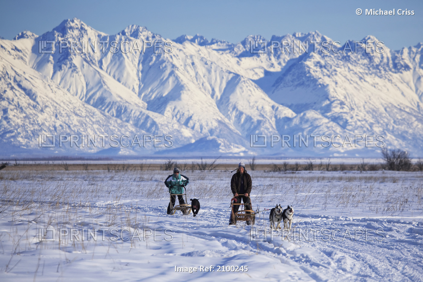 Two Recreational Dog Mushers Mushing Near Wasilla With Chugach Mountains In The ...