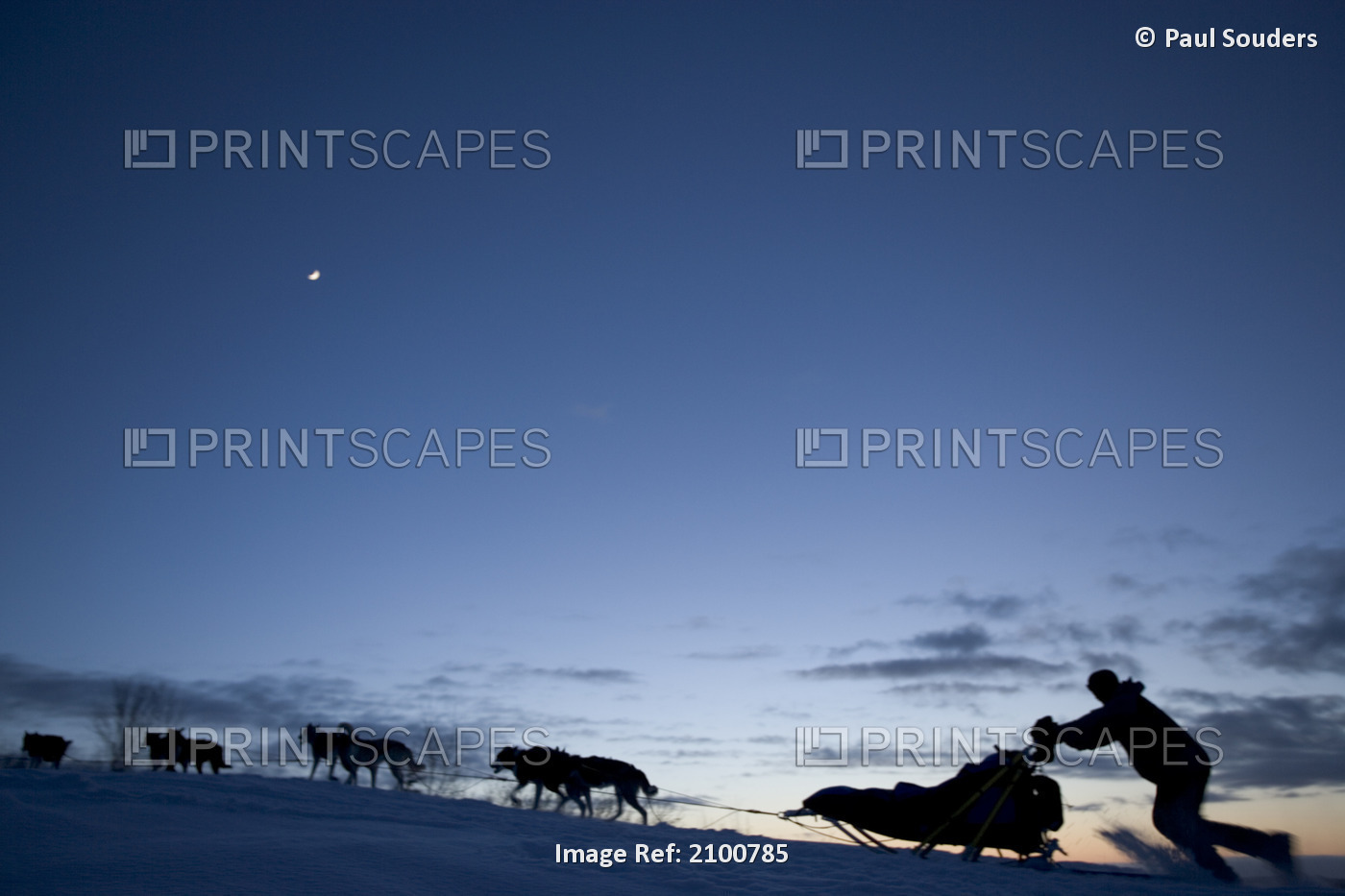 Robert Sorlie Races Dog Team Toward Bering Sea Coast During 2005 Iditarod Under ...