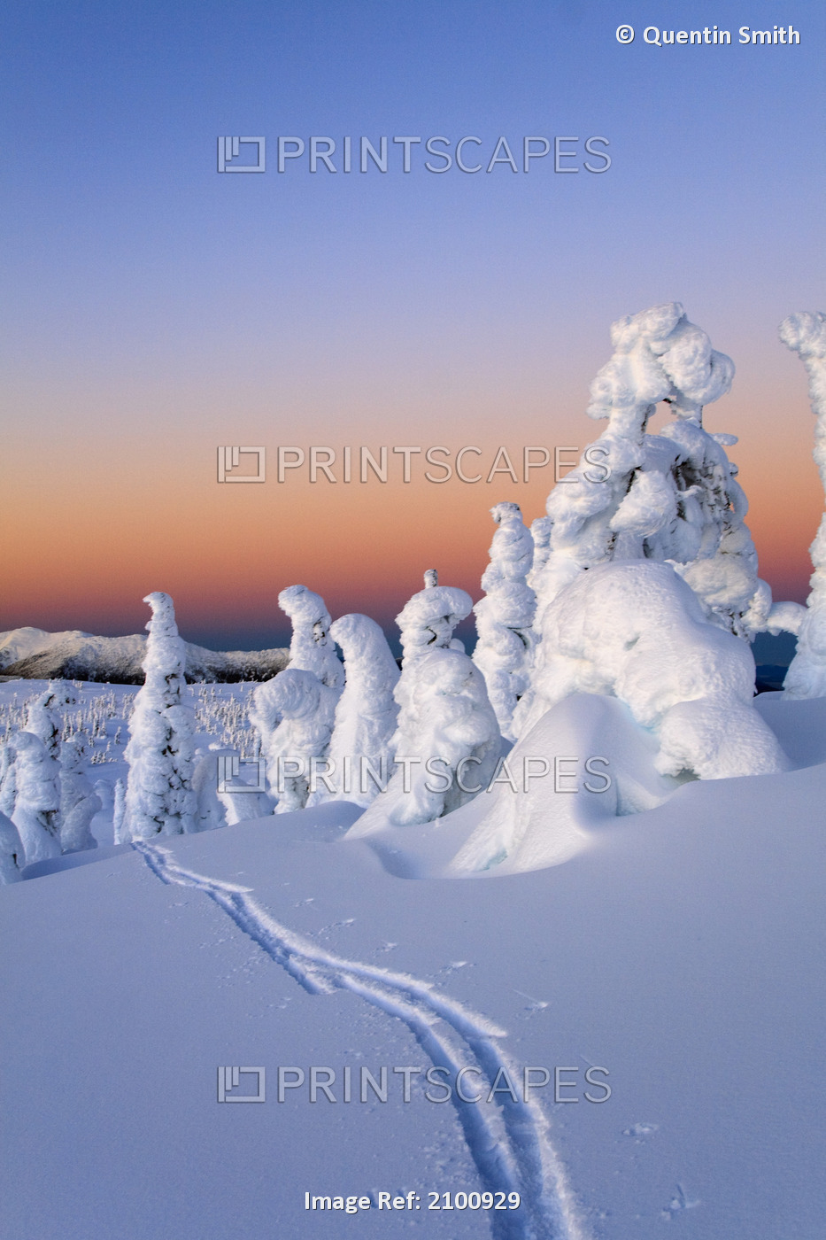 Scenic Sunrise In Winter With Ski Tracks In The Foreground, Wrangell Island, ...