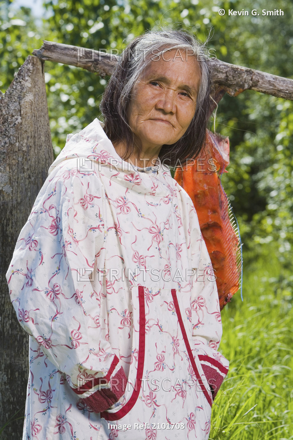 Elder Native Yupik Woman Standing In Front Of Fish Drying Rack @ Fish Camp ...