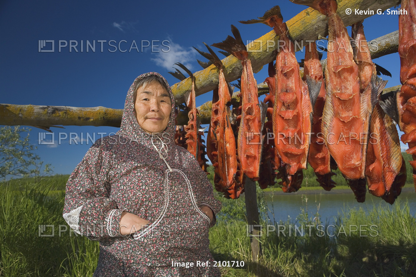 Portrait Of Elder Native Yupik Woman Near Fish Drying Rack Kuskokwim River ...