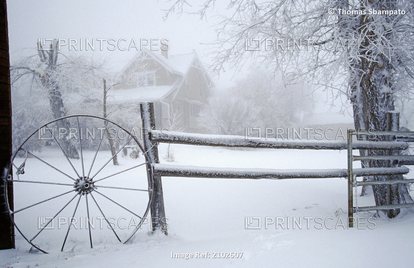 Fence With Wagon Wheel And Trees Covered In Ice And Snow With Ranch House In ...