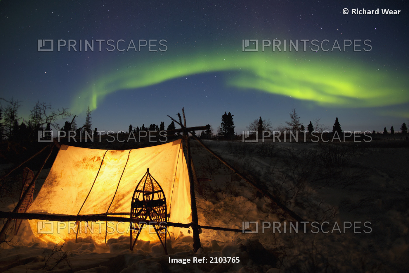 Trappers Tent Lit Up With Aurora Borealis At Wapusk National Park In Canada's ...