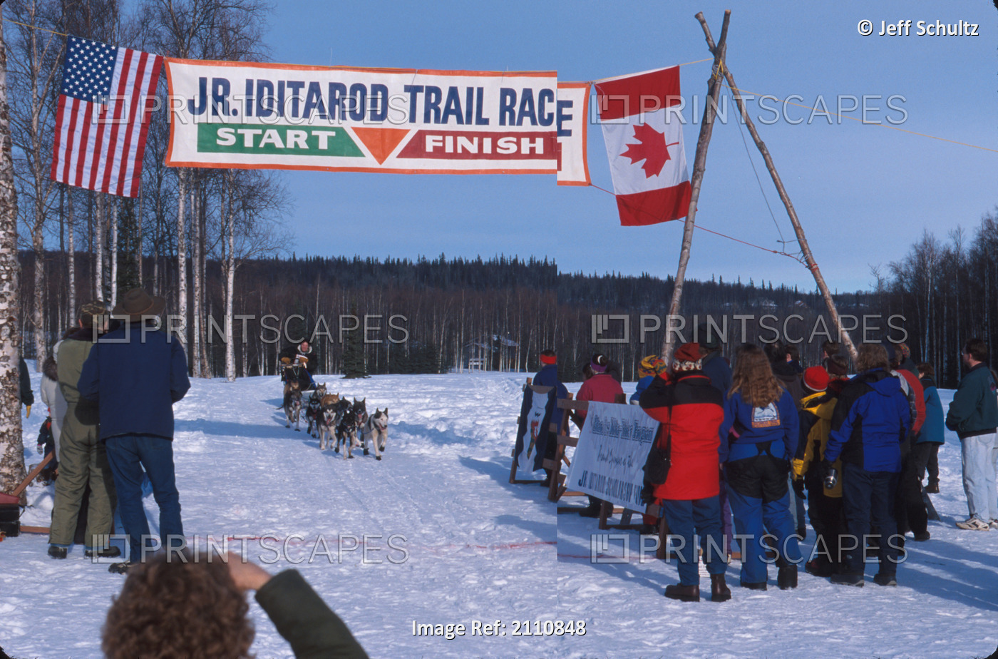 Junior Iditarod Finish Line/Nknik Southcentral Alaska