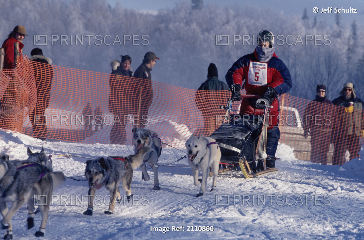 Jr. Musher On Trail At 2001 Junior Iditarod Knik