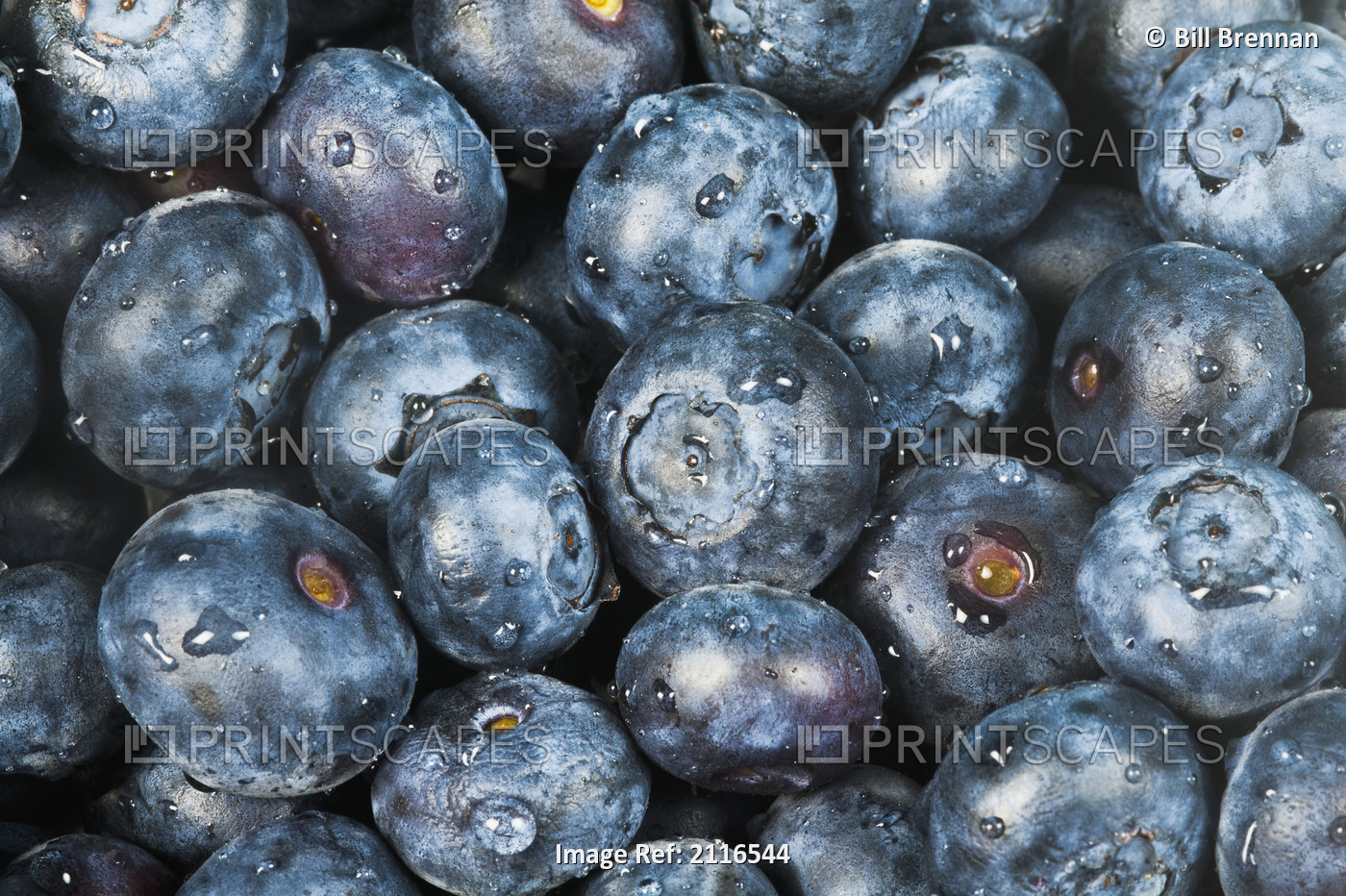 Close up shot of several fresh blueberries.