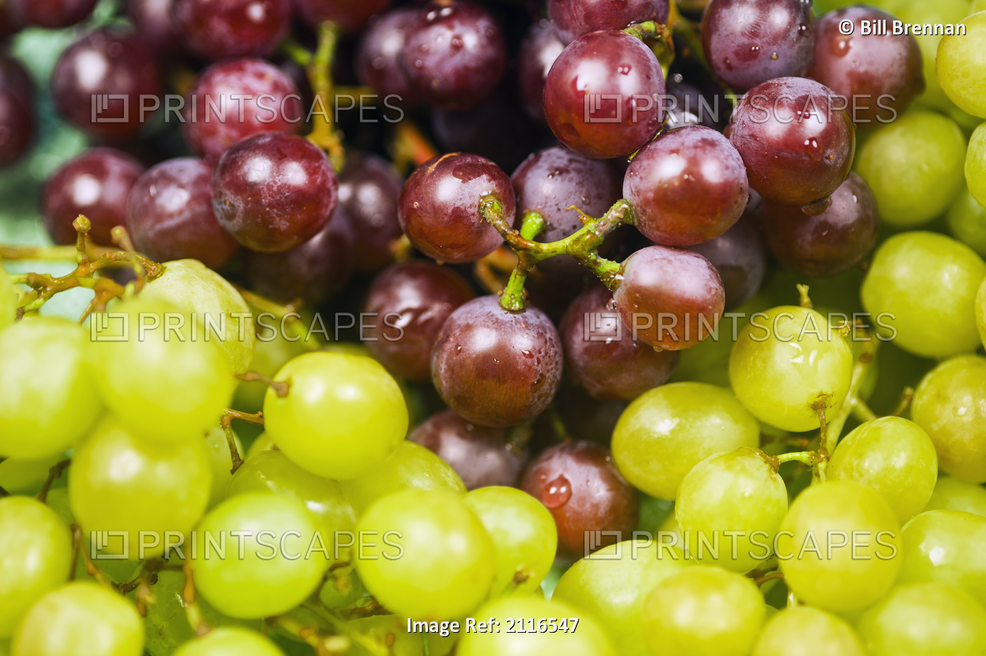 Close up of several green and red grapes.