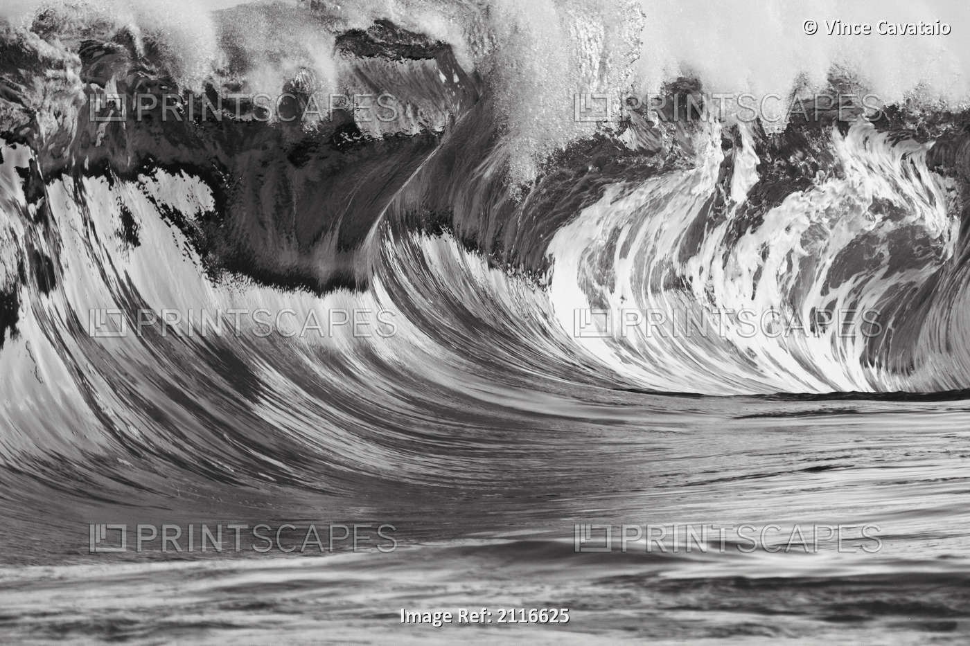 Hawaii, Big powerful wave breaks on the shore (black and white).
