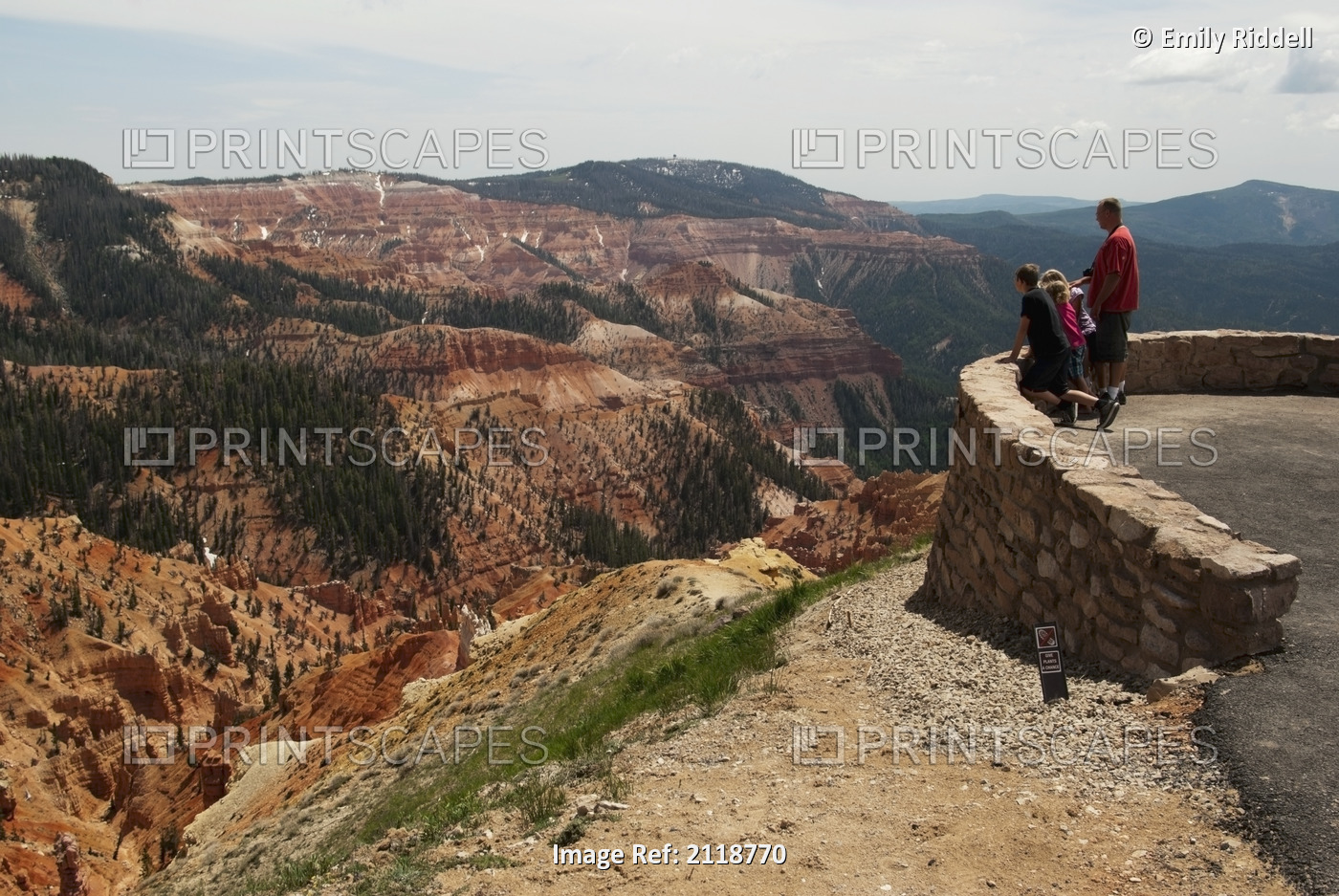 Father And Children Enjoying North View Of Canyon At Cedar Breaks National ...