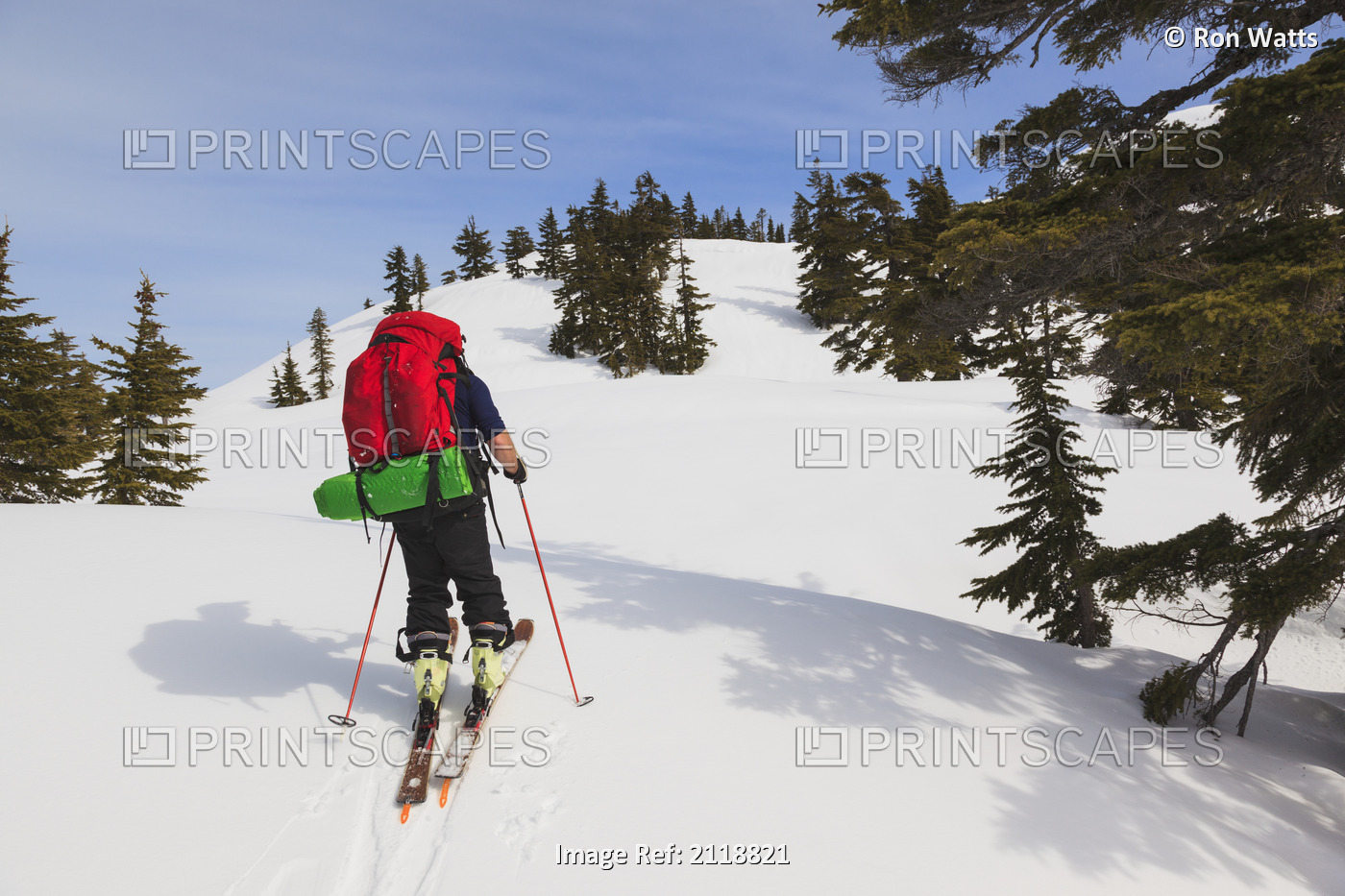 Cross-Country Skier On Trail To Edwards Lake Cabin And Mt. Steele Cabin In ...