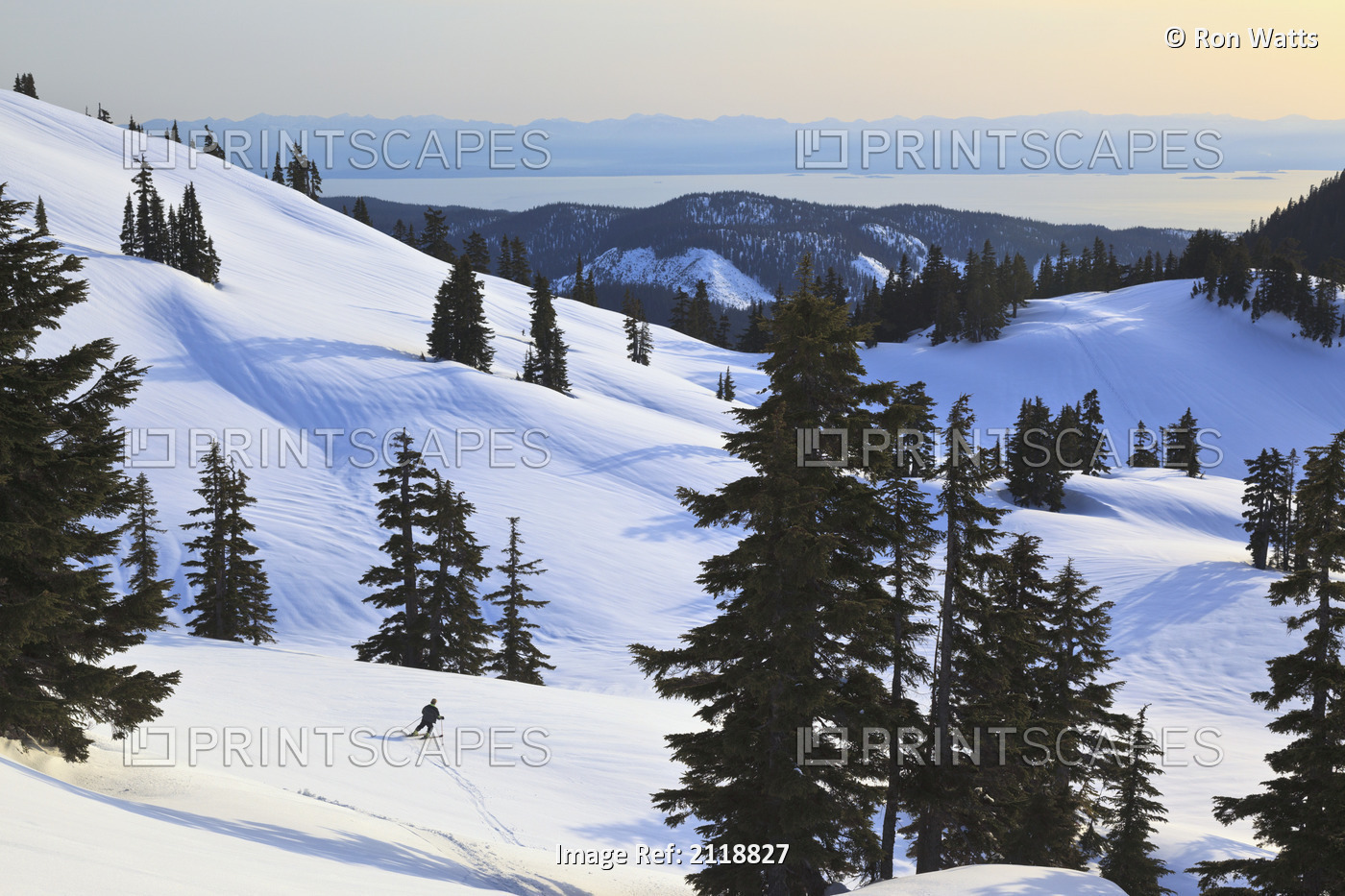 Cross-Country Skier Descends The Slope Below Mount Steel In Tetrahedron ...