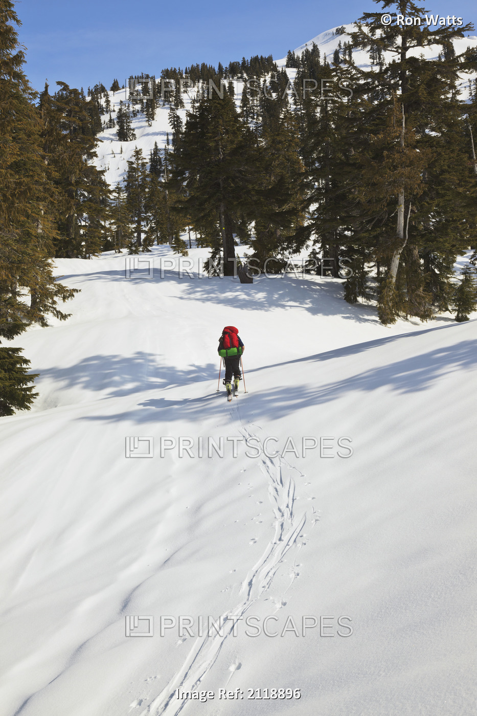 A Skier Ascending The Trail Enroute To Mount Steele Cabin In Tetrahedron ...