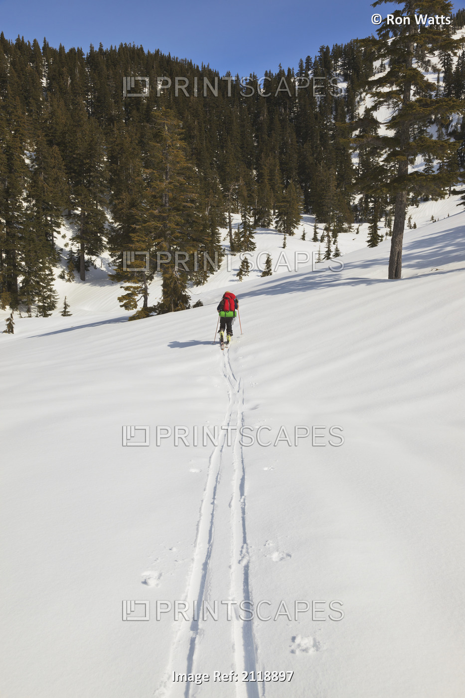 A Skier Ascending The Trail Enroute To Edwards Lake Cabin And Mount Steele ...