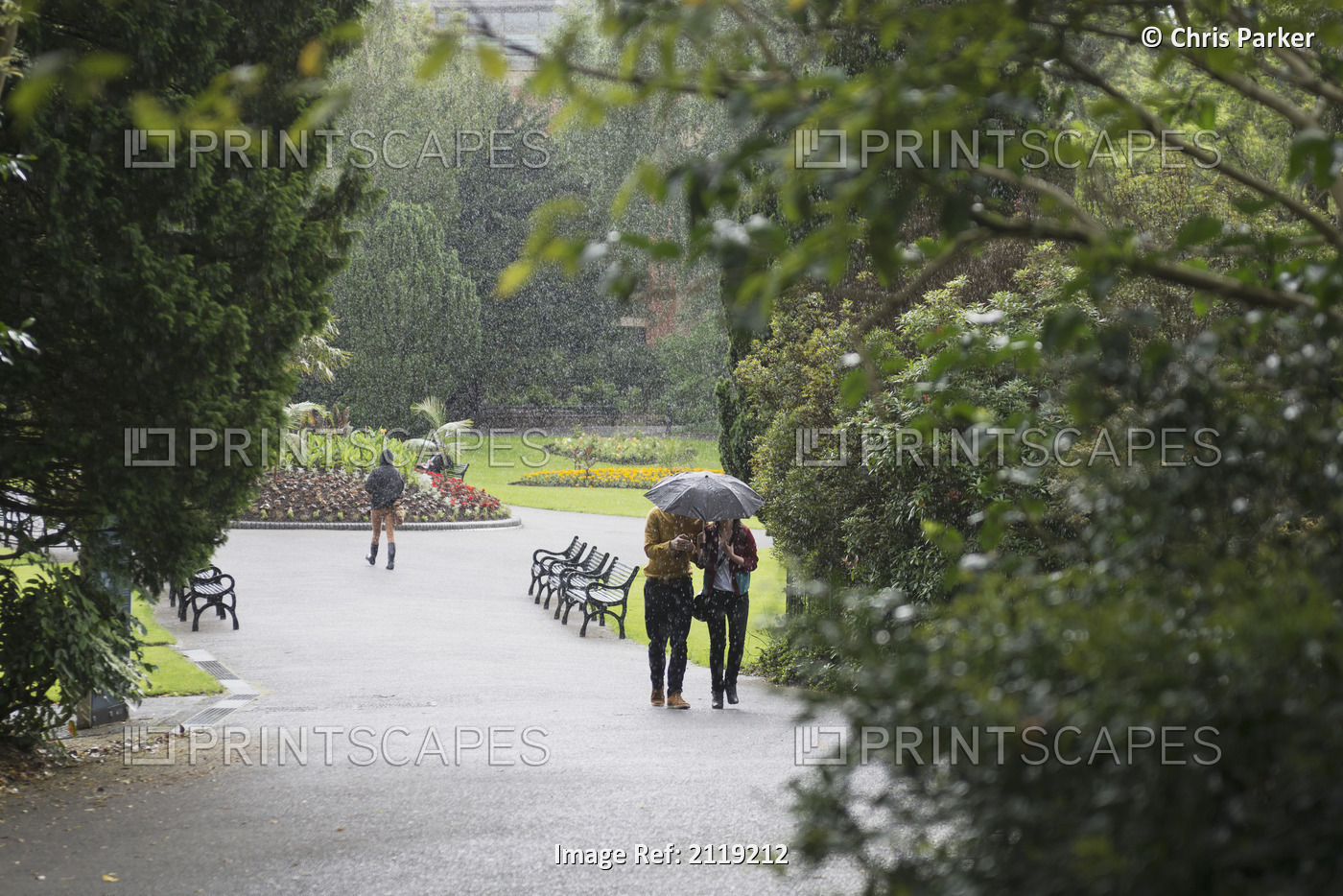 United Kingdom, Northern Ireland, Heavy rain at Botanic Gardens Park; Belfast