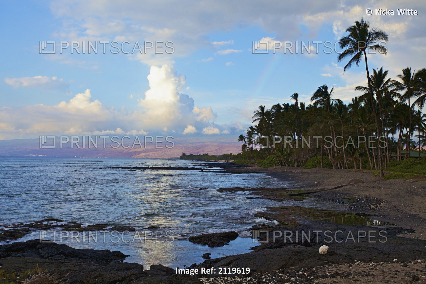 A View Of The Coastline Of Kauai With Palm Trees And A Beach; Wailua, Kauai, ...
