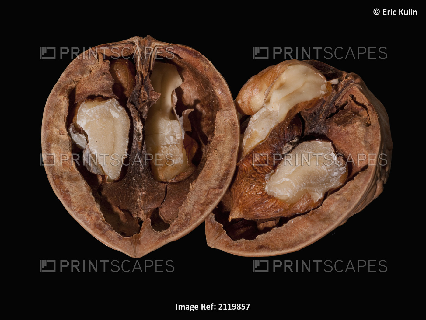 An open walnut on a black background