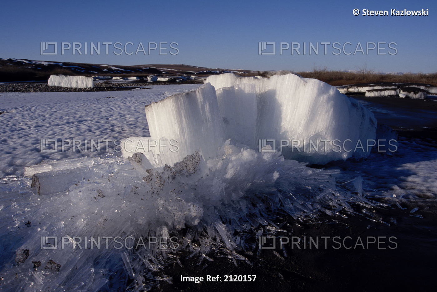 Ice Crystals Protruding From Tundra Anwr Ar Alaska