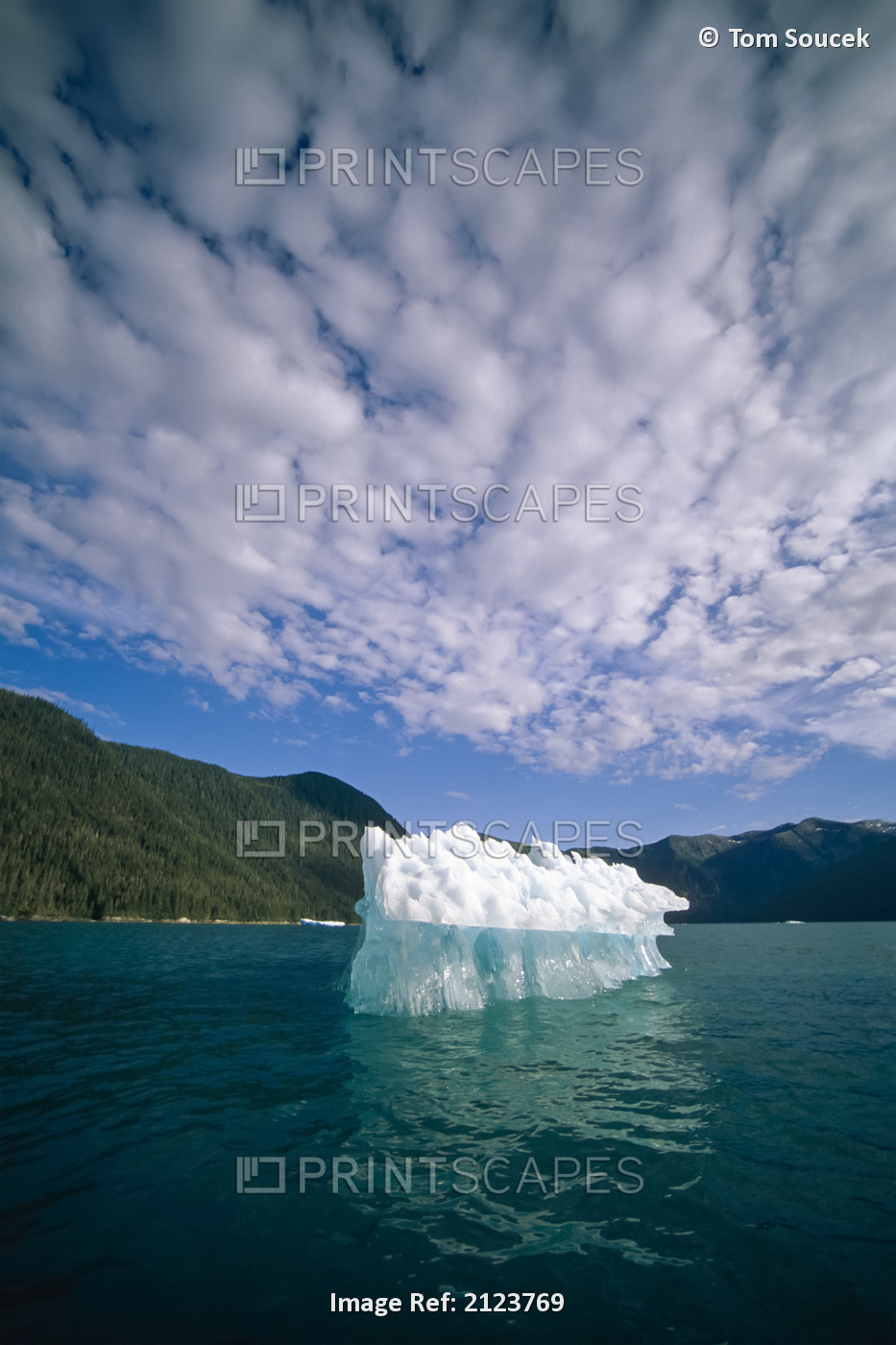 Icebergs floating in Tracy Arm, Southeast Alaska; Alaska, United States of ...