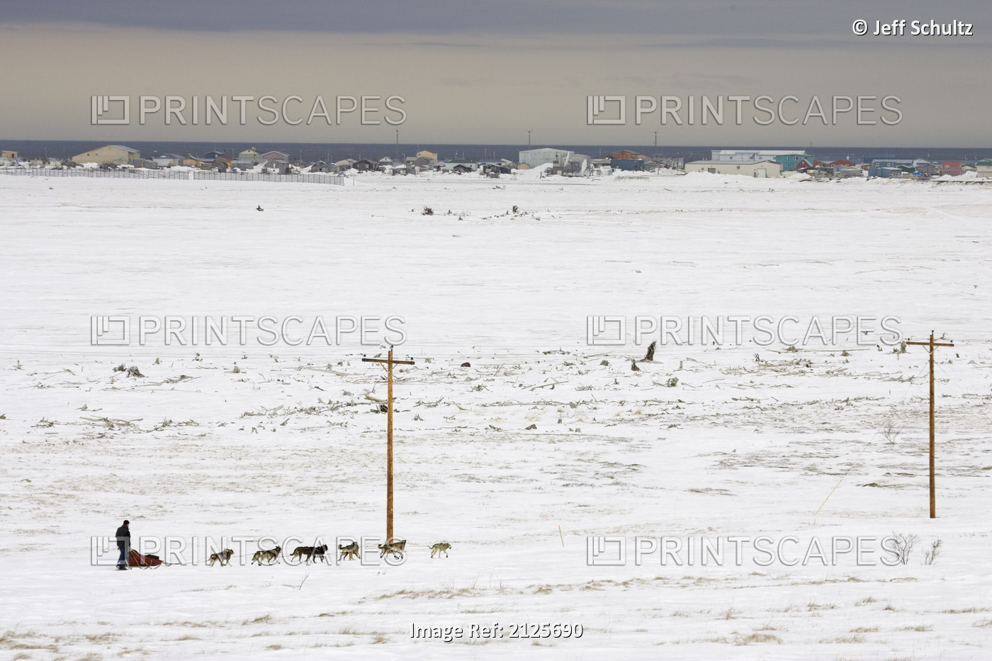 Aaron Burmeisters Team On The Outskirts Of Unalakleet 2005 Iditarod We Ak Winter