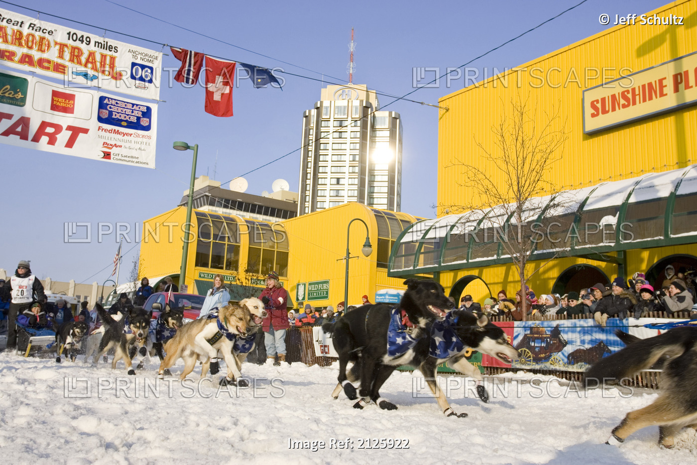 Judy Currier Sled Dog Team Leaves Start Line 2006 Iditarod Ceremonial Start ...
