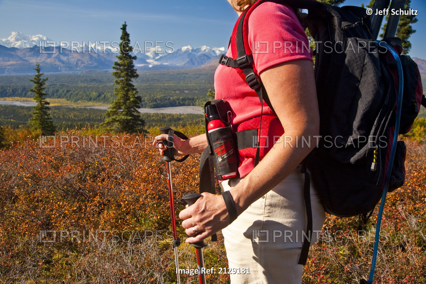 Woman Hiking On Little Coal Creek Trail Pauses To View Mt. Mckinley And Alaska ...