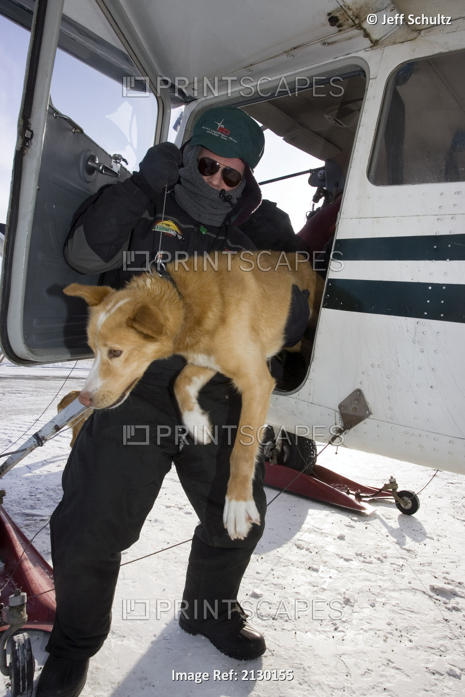 Volunteer Iditarod Airforce Pilot Tim Skala Unloads Dropped Dog From Airplane ...