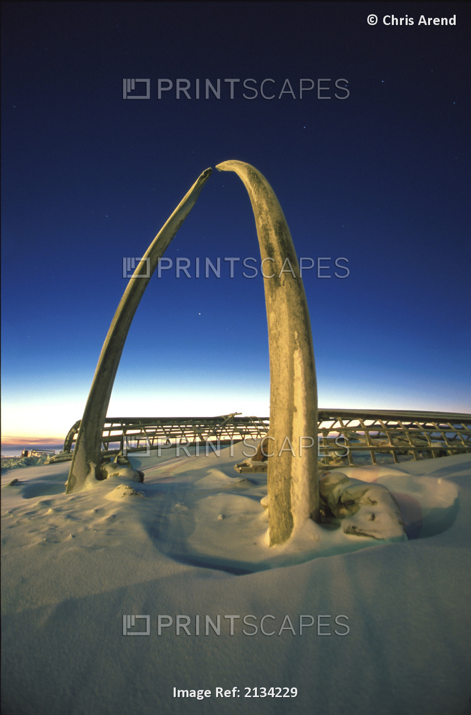 Sunset Arctic Ocean Whale Bone Monument Barrow Alaska Umiak Boat Winter
