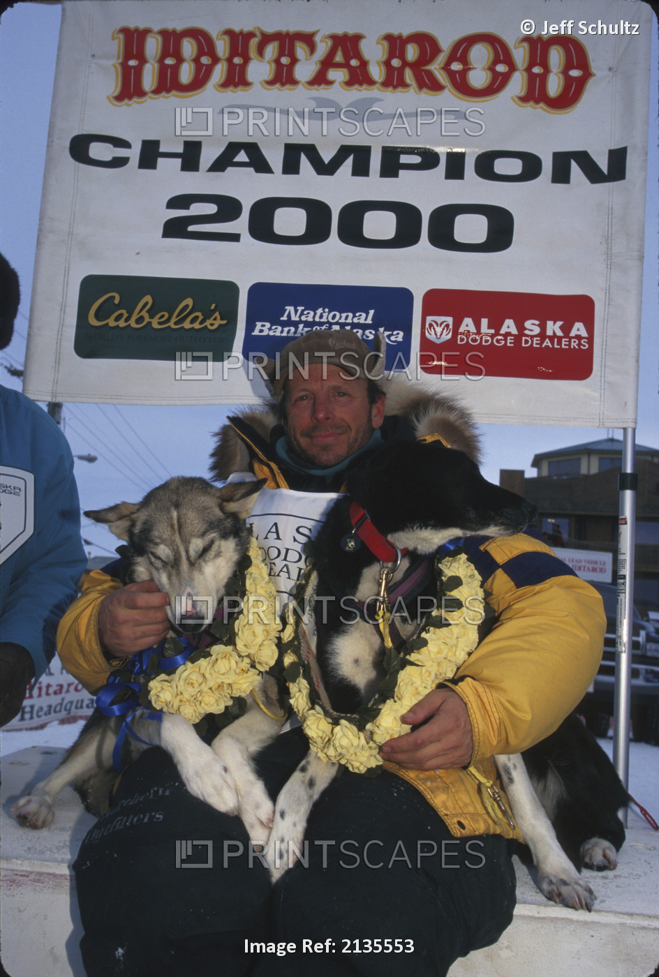 Doug Swingley & Dogs At Finish 2000 Iditarod Ak