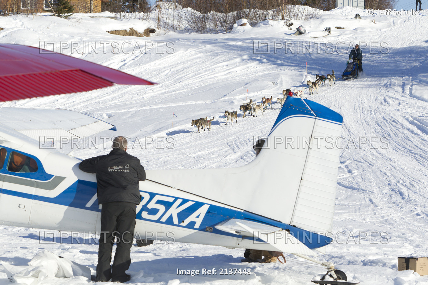 Volunteer Iditarod Air Force Pilot Greg Fischer Watches Bruce Linton And Team ...