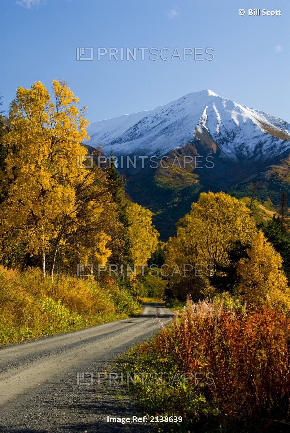 Fall Colors And Snowcapped Peaks Along The Palmer Creek Road Near Hope In The ...