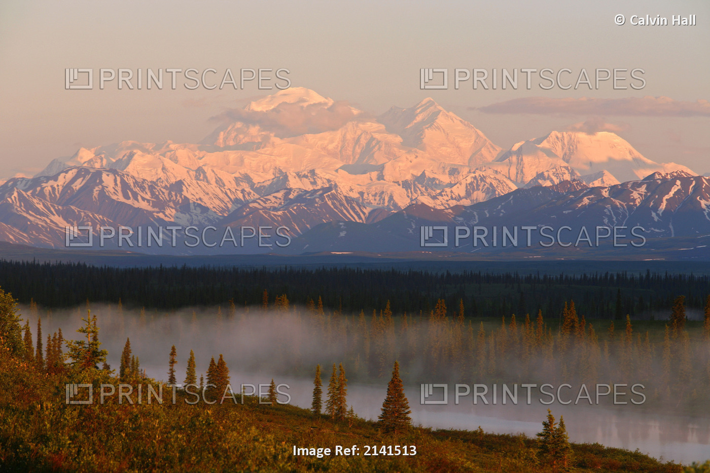 Mt. Mckinley Reflected In Small Lake At Sunrise In Broad Pass, Alaska Range, ...