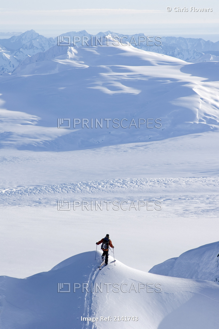 Skier Climbing Up Ridge Above The Sargent Icefield Southcentral Alaska Spring