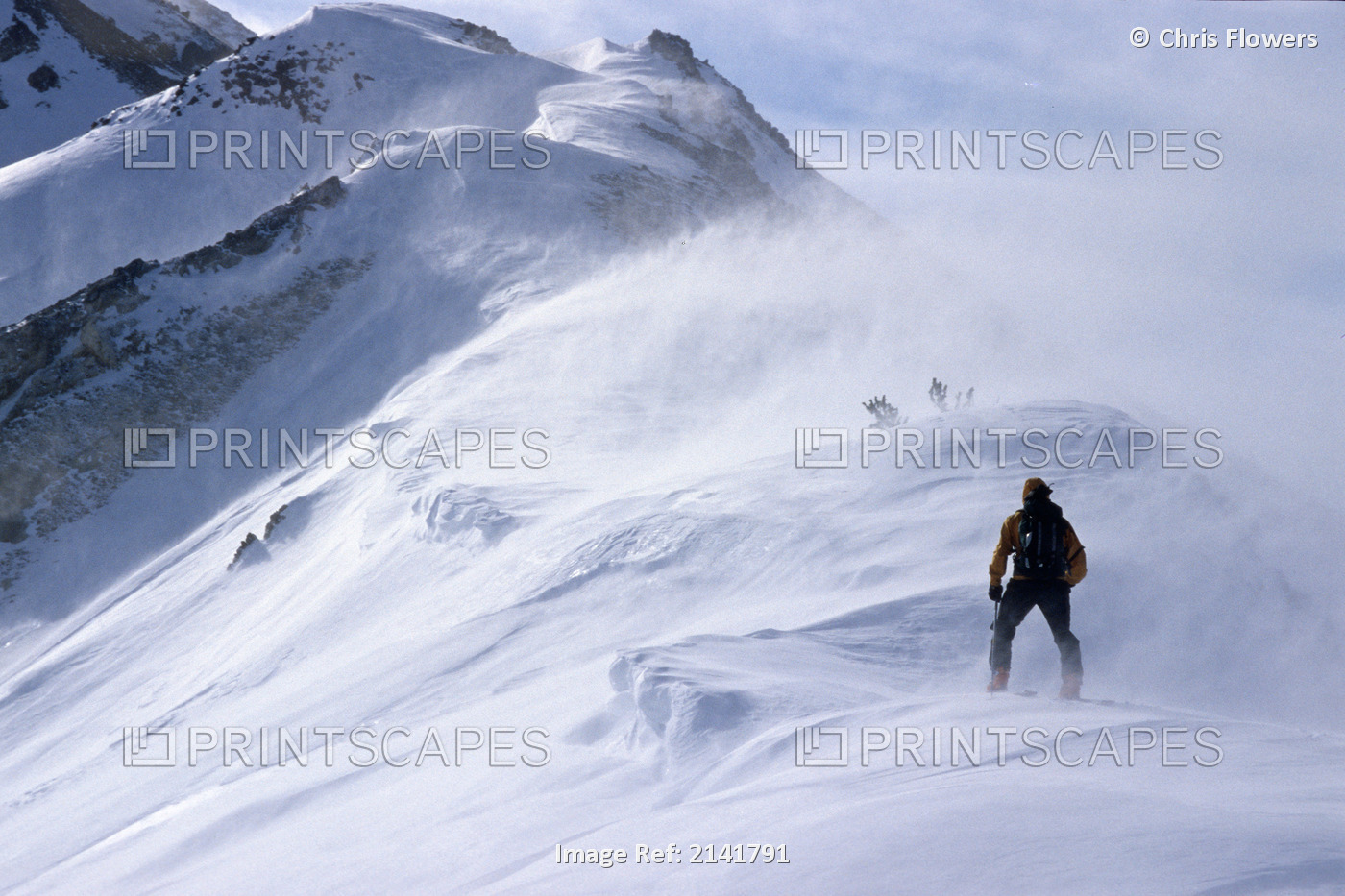 Back Country Skier Climbing Ridge In Blizzard Conditions Chugach Mtns Sc Alaska ...