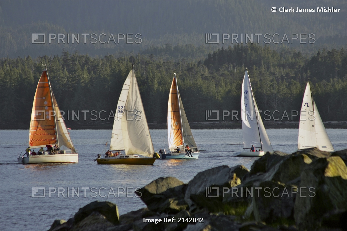 Sailboats Race In Competition Near Ketchikan, Alaska During Summer