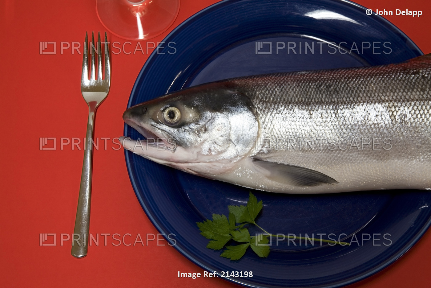 Fresh, Wild Alaskan Sockeye (Red) Salmon Shown On A Dinner Plate With Fork.